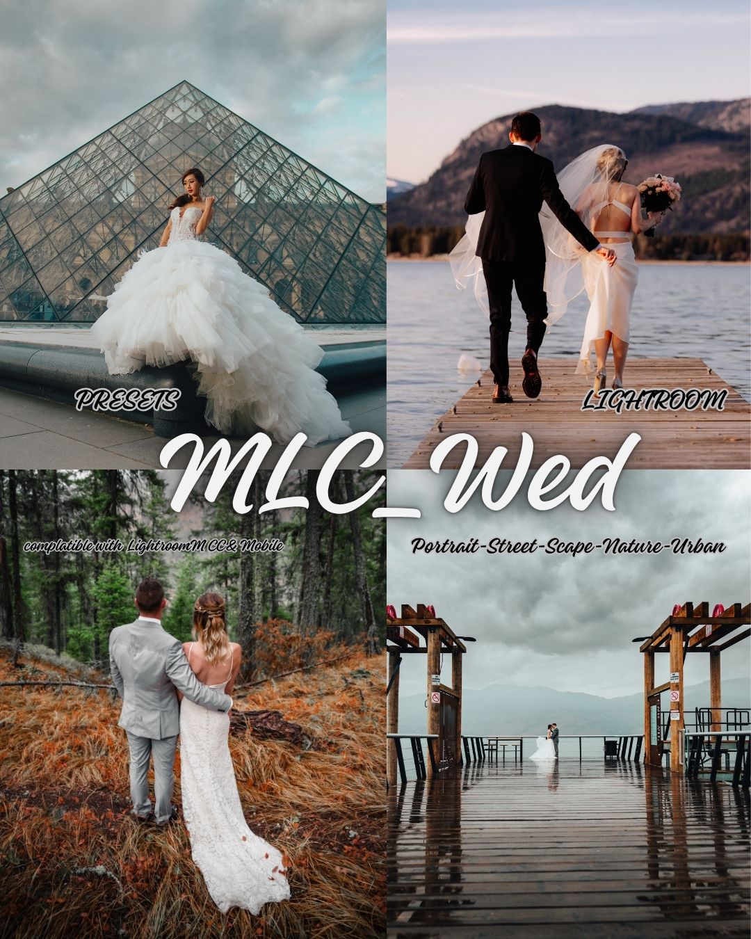MLC_WED